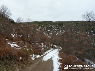 Somosierra - Camino a Montejo;singles madrid senderismo;senderismo y montaña